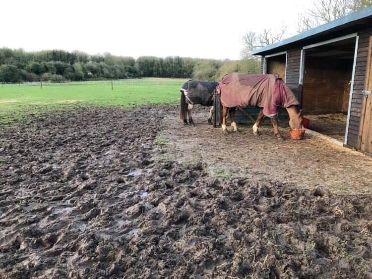 Comment stabiliser les paddocks — free download